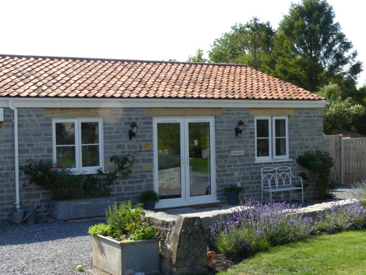 Littlemead - Newly Renovated Private Studio Near Glastonbury Exterior foto