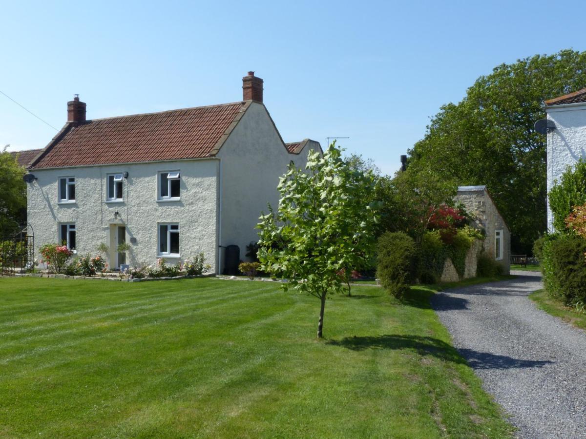 Littlemead - Newly Renovated Private Studio Near Glastonbury Exterior foto