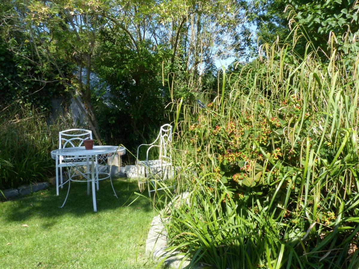 Littlemead - Newly Renovated Private Studio Near Glastonbury Exterior foto