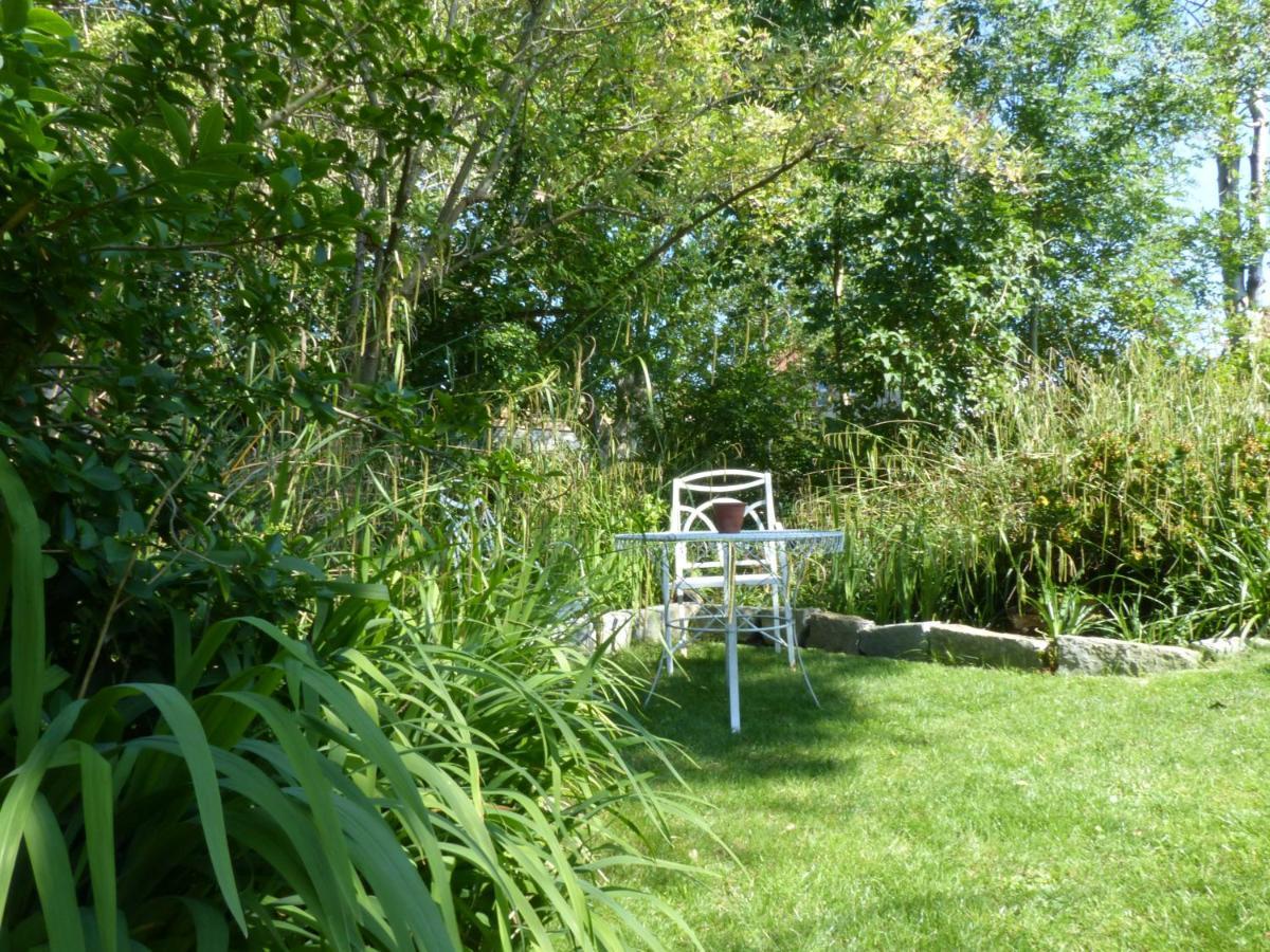 Littlemead - Newly Renovated Private Studio Near Glastonbury Exterior foto