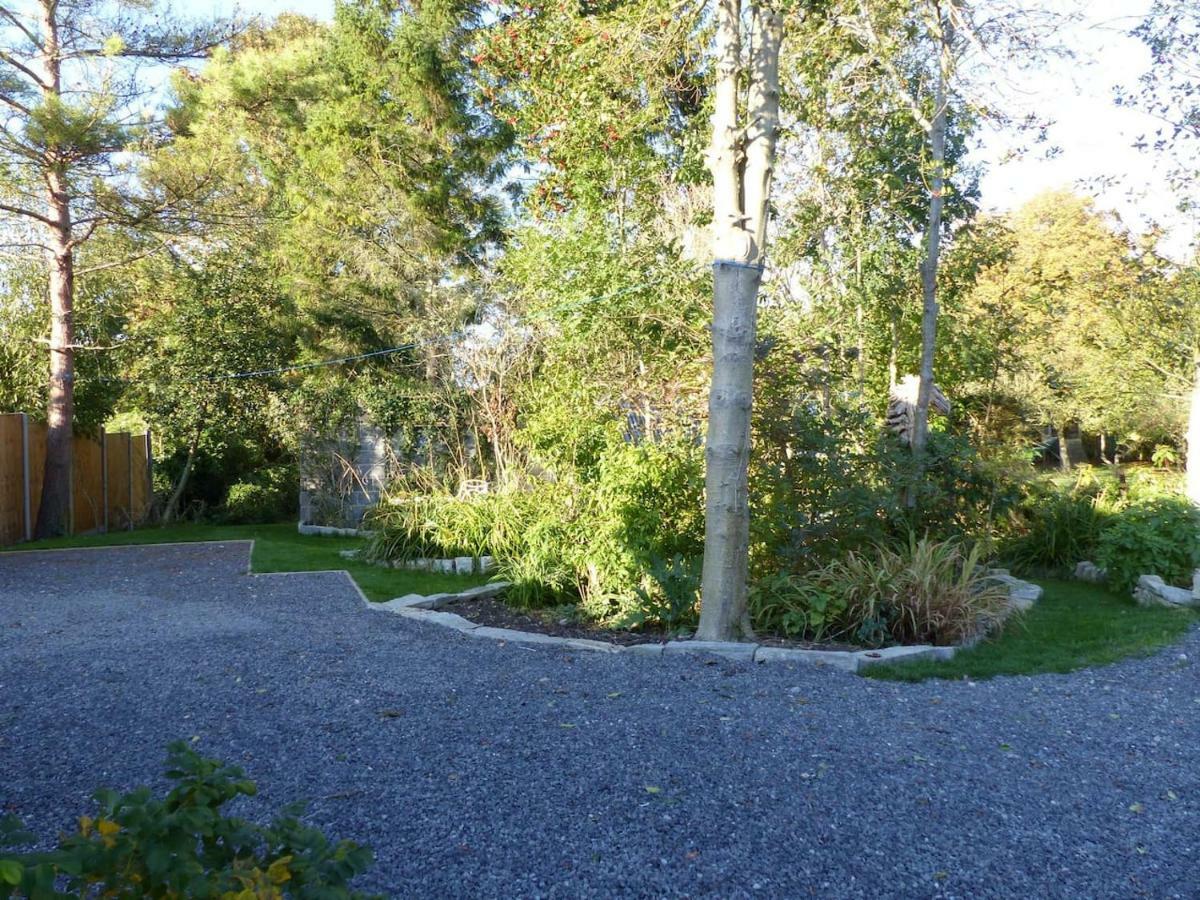 Littlemead - Newly Renovated Private Studio Near Glastonbury Exterior foto